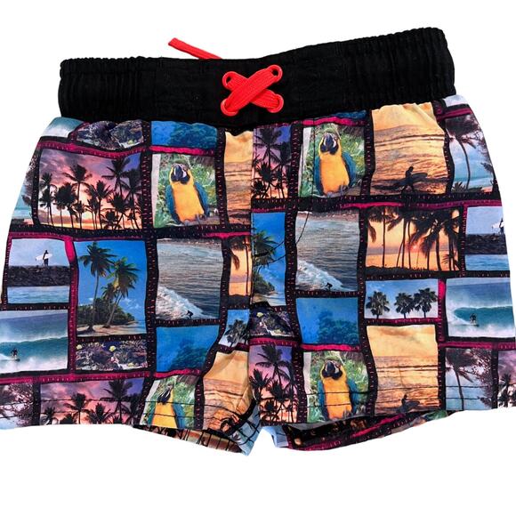 Cat & Jack Baby Boy Size 12m Swim Trunks Bundle Dinosaurs Tropical Parrots - Picture 2 of 5